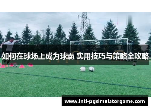 如何在球场上成为球霸 实用技巧与策略全攻略