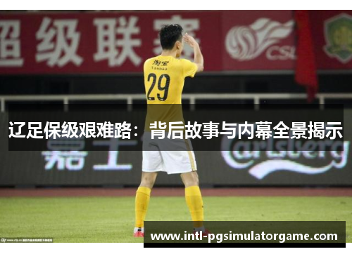 辽足保级艰难路：背后故事与内幕全景揭示
