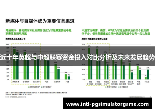 近十年英超与中超联赛资金投入对比分析及未来发展趋势