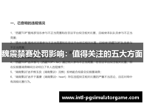 魏震禁赛处罚影响：值得关注的五大方面