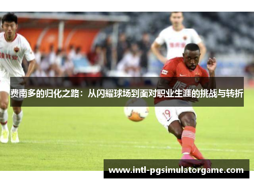 费南多的归化之路：从闪耀球场到面对职业生涯的挑战与转折