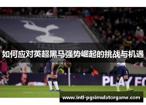 如何应对英超黑马强势崛起的挑战与机遇