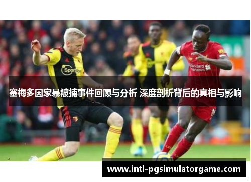 塞梅多因家暴被捕事件回顾与分析 深度剖析背后的真相与影响