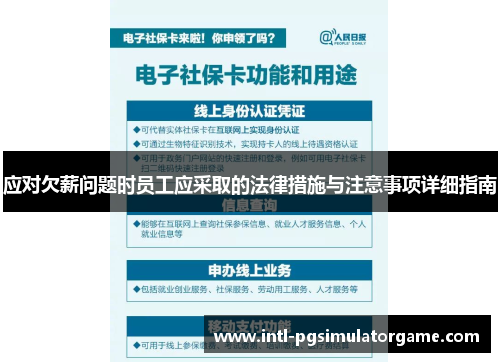 应对欠薪问题时员工应采取的法律措施与注意事项详细指南