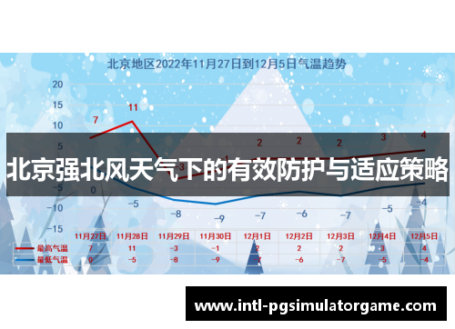 北京强北风天气下的有效防护与适应策略