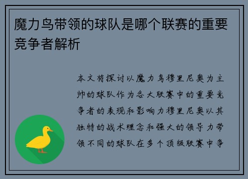 魔力鸟带领的球队是哪个联赛的重要竞争者解析
