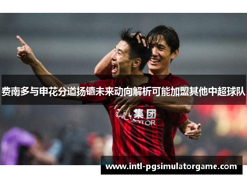 费南多与申花分道扬镳未来动向解析可能加盟其他中超球队 费南多与申花分道扬镳未来动向解析可能加盟其他中超球队