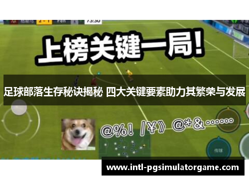 足球部落生存秘诀揭秘 四大关键要素助力其繁荣与发展 足球部落生存秘诀揭秘 四大关键要素助力其繁荣与发展