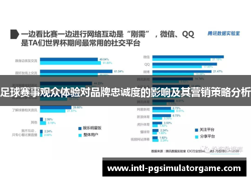足球赛事观众体验对品牌忠诚度的影响及其营销策略分析