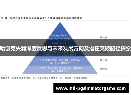 哈谢克失利深度反思与未来发展方向及潜在突破路径探索